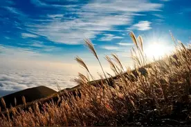 家里不能随便外借的2样东西，谁来都别借，以免麻烦上身图片