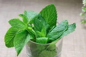 喉咙一痒就咳嗽，怎么办？图片