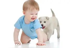 六个月宝宝会爬小技巧图片