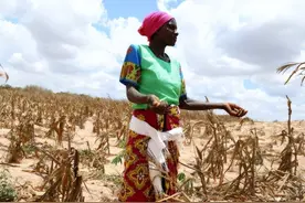 农业生产日益发展，世界饥荒却日益严重：究竟谁该为粮食危机买单图片