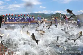 为什么钓鱼时鱼跳出水面却不咬钩？鱼跳出水面却钓不到鱼的原因图片