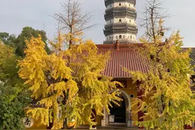 登迎江寺内振风塔图片