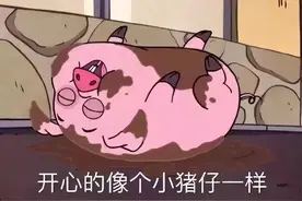 有哪些猪的搞笑图片或者表情包？图片