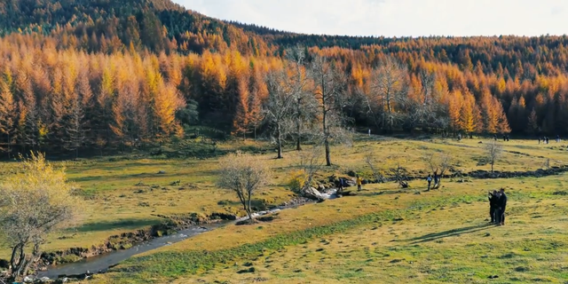 想赏秋？就去芦芽山，这里的秋日景致超赞！