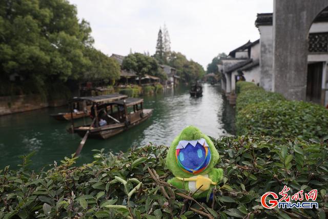 小互的乌镇漫步：一场古镇与数字的对话