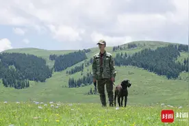 “肉搏”野猪受伤后 狩猎人阿勇：公益护农还要坚持干下去图片