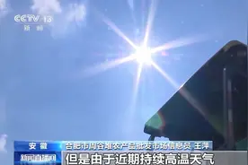 高温多雨致菜价上涨，各地多措保障蔬菜，“鲜”到餐桌图片