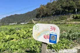 聚焦人大民生实事票决制丨安康平利县广佛镇：“一分菜园”构筑“幸福家园”图片