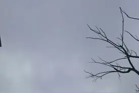 大风、低温警报！福建最低零下8℃！图片