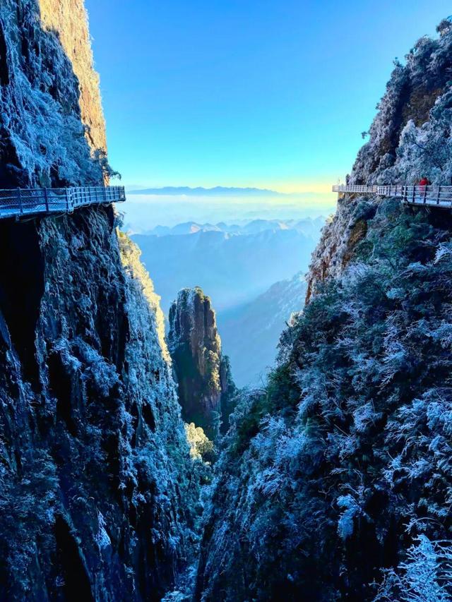 美到词穷！郴州首场雾凇惊艳上线