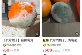 发霉橘子竟成二手平台“香饽饽”，专家提醒图片