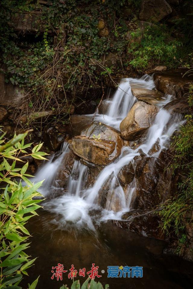 一年四季 泉在济南丨九如山：初秋生态画卷，引客共赴自然之约