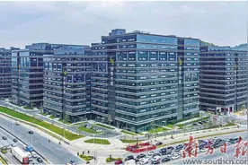 绿美凤岗建设抓出实效图片