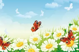 小满后，勿“大满积食”图片