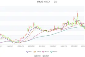 新和成：2024年上半年净利润22.04亿元 同比增长48.62%图片