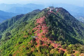东湖评论：从“花季限定”到“四季常红”，龟峰山景区破局有道图片