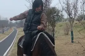 郑州一男子邀请女孩背《木兰辞》体验骑马：会背的孩子可以免费骑图片