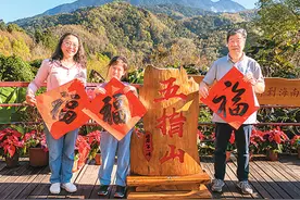 海南五指山，新春探“绿”抚人心图片