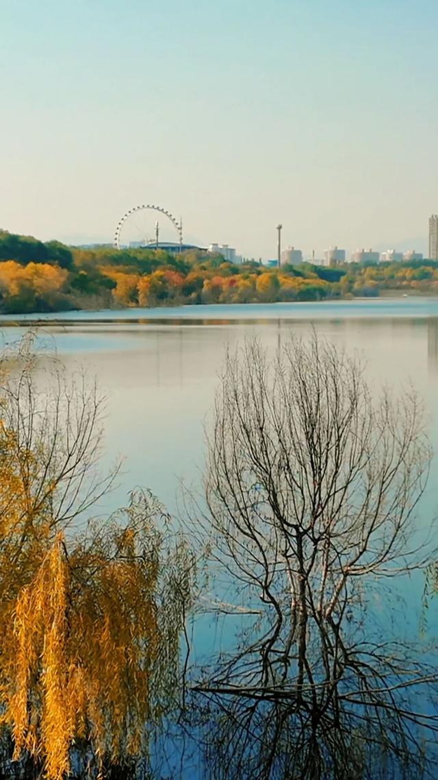 18公里步道免费开放！北京西五环边这个公园迎来最佳观赏期