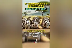 吃一顿饭就能把东西存下来，专家称易胖体质者或因历史选择自带“节俭基因”。图片