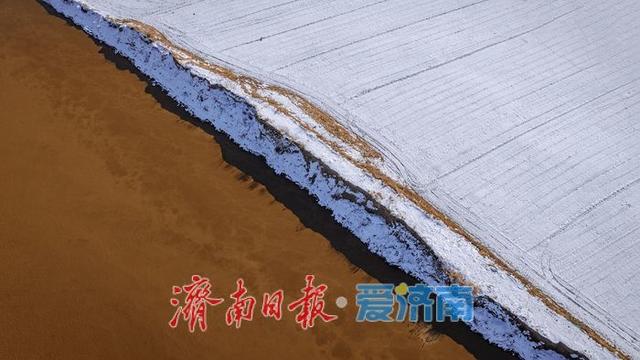 一年四季 泉在济南丨雪润黄河岸，济南冬日生态画卷徐徐铺展