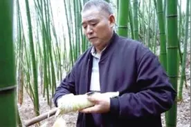 竹笋丰收“口口鲜” 村民增收“节节高”图片