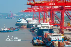 安徽芜湖：港口装卸作业忙图片