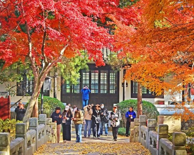 南通这里太美了！这个周末，不少人赶去打卡