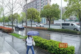 清明风至、繁花盛开，正是一年踏春时图片