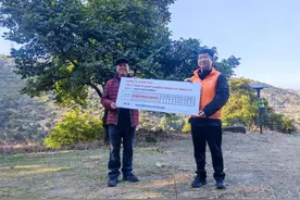 快赔25万，平安产险助力闽侯橄榄产业发展图片