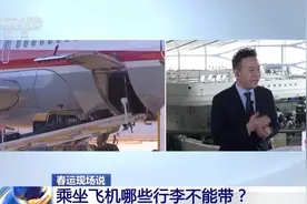 春运乘机需提前多久？乘车哪些年货不能带？出发前必看！图片