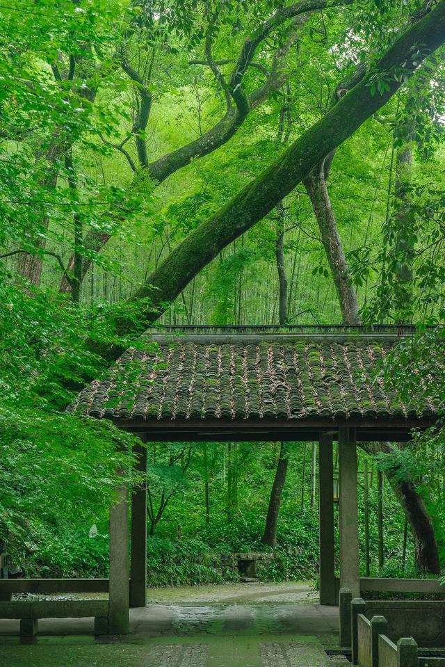 速点！给你视觉降温