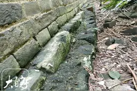 多位专家谈合肥古城历史变迁：有打造国家历史文化名城的能力图片