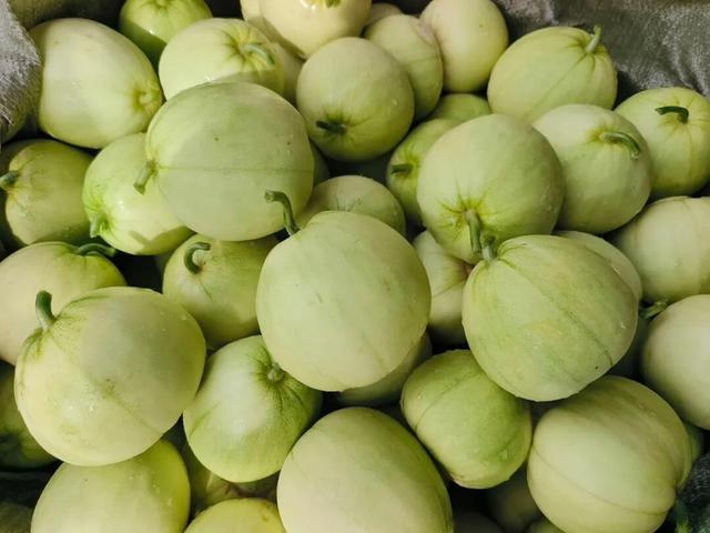 坐上高铁说走就走！广西这座烟火小镇，太安逸了