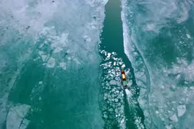 喜获丰收！新疆三文鱼是如何养成的？图片