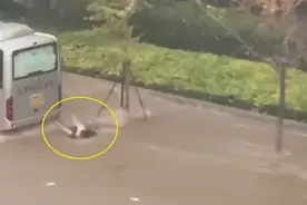 大连暴雨致内涝，父女2人被冲到客车下死亡！警方：初步调查系溺亡图片