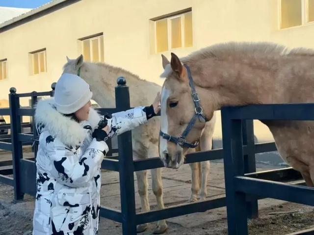 好消息！新疆一地宣布：即日起至2026年底，全域景区对江苏游客免费！