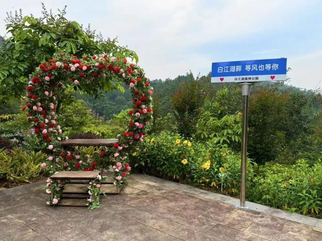 白江湖森林公园第二届戏水活动盛大开幕