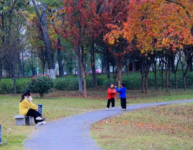 别眨眼，接下来的新干是这样的→