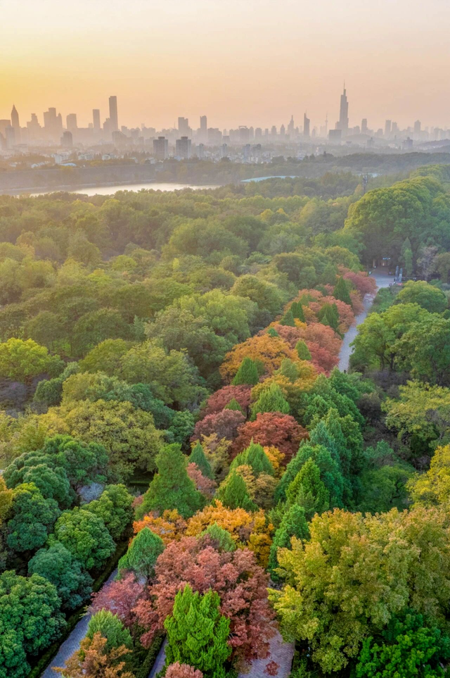 秋日特调！南京“西红柿炒蛋”皮肤已限时上线！