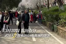 天公作美催花发  玉树琼花迎宾客 武大迎来首批预约赏樱游客图片