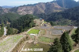 山里的“空中坦途” 无人机破解“最后一公里”运输难题图片