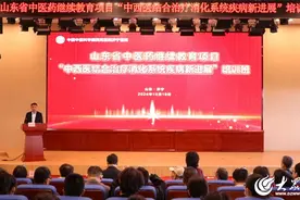 西苑医院济宁医院召开山东省中医药继续教育项目“中西医结合治疗消化系统疾病新进展”培训班图片