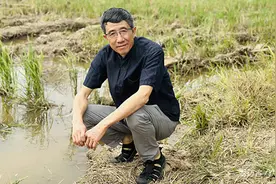 乡村全面振兴|让农民腰包越来越鼓、生活越来越美好图片