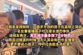 一岁多孩子高铁哭闹，乘客怒斥家长：让他闭嘴图片