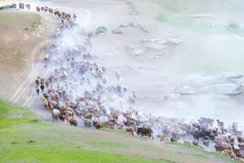 端午假期国内1.1亿人次出游 阿勒泰带火草原类目的地图片