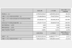 裁员风波后，完美世界交上半年成绩单：首亏1.77亿图片