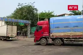 海南瓜果蔬菜迎来上市高峰 港口开设30班次大货车专班运输图片
