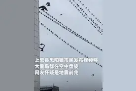 广西一地大量鸟群盘旋天空，有网友担心是地震前兆！回应来了→图片