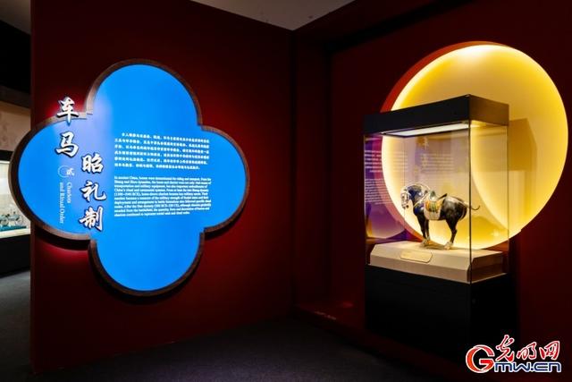 马騳骉騛……这场文化展“万马奔腾”